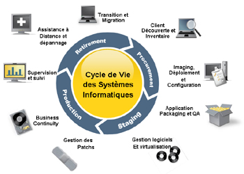 Cycle de vie